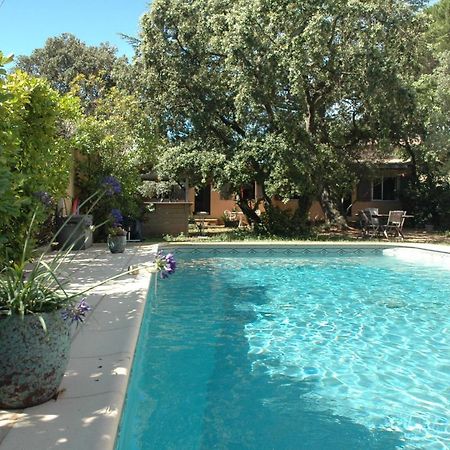 La Vigne Et L'Olivier Apartment Villeneuve-lès-Avignon Екстериор снимка