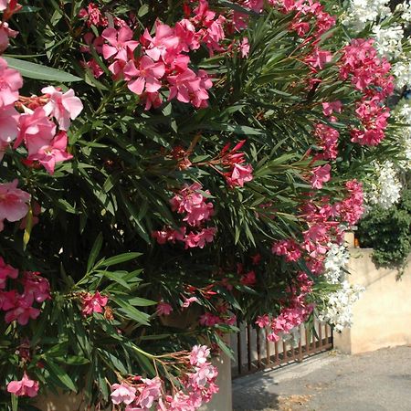 La Vigne Et L'Olivier Apartment Villeneuve-lès-Avignon Екстериор снимка