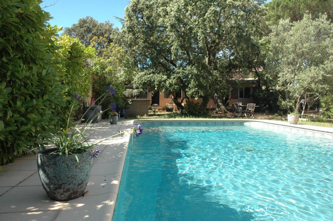 La Vigne Et L'Olivier Apartment Villeneuve-lès-Avignon Екстериор снимка