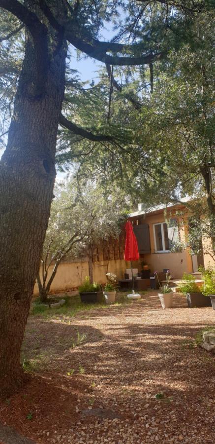 La Vigne Et L'Olivier Apartment Villeneuve-lès-Avignon Екстериор снимка