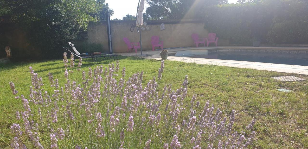 La Vigne Et L'Olivier Apartment Villeneuve-lès-Avignon Екстериор снимка